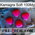 Kamagra Soft 100Mg 13
